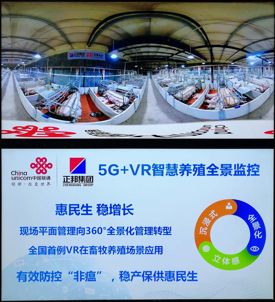 1571623584574834.jpg b06.jpg