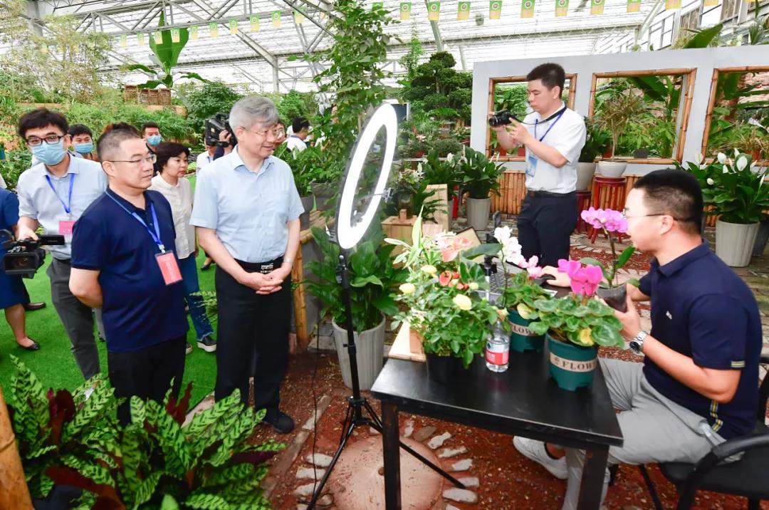 1626682490222280.jpg b04.jpg